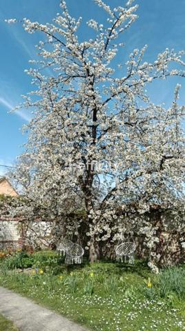 Maison 4 pièces - 102 m² Exclusivité efficity