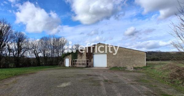 Local Commercial - 600 m²