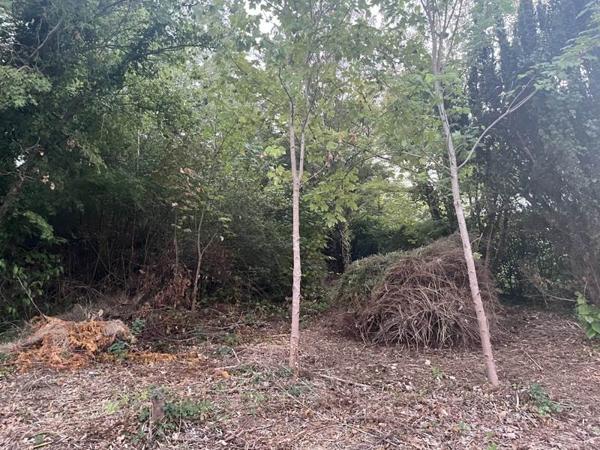 Terrain à vendre 176 500 € Berchères-sur-Vesgre 2651 m² DPE