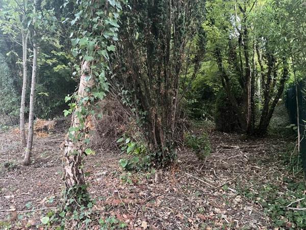 Terrain à vendre 176 500 € Berchères-sur-Vesgre 2651 m² DPE