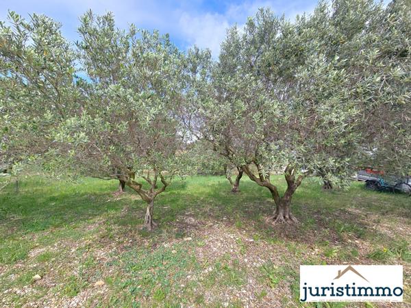 Travaillan (84850) Maison familiale de 170 m² avec grand jardin arboré – Vue sur le Ventoux