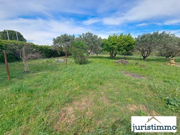 Travaillan (84850) Maison familiale de 170 m² avec grand jardin arboré – Vue sur le Ventoux