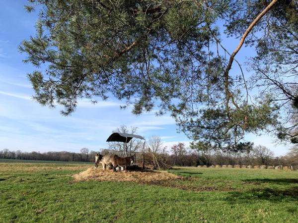 Magnifique propiété chargée d'histoire