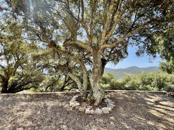Vente / Maison à Le Muy (83490)