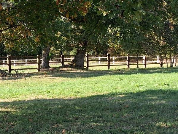 Maison à vendre à Rives-d'Andaine dans l'Orne (61140), ref : 61049-1082