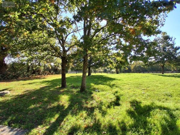 Maison à vendre à Rives-d'Andaine dans l'Orne (61140), ref : 61049-1082