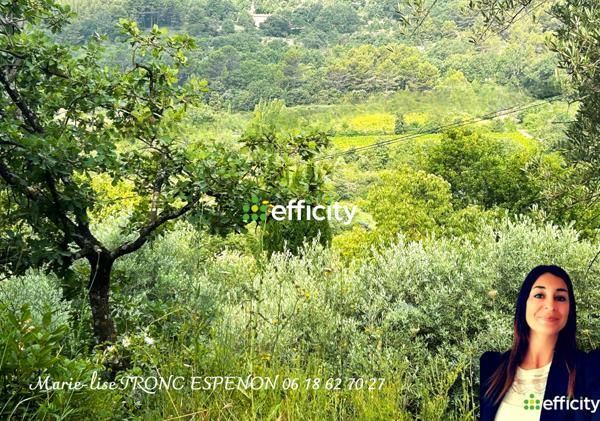 Terrain - 1480 m² Exclusivité efficity