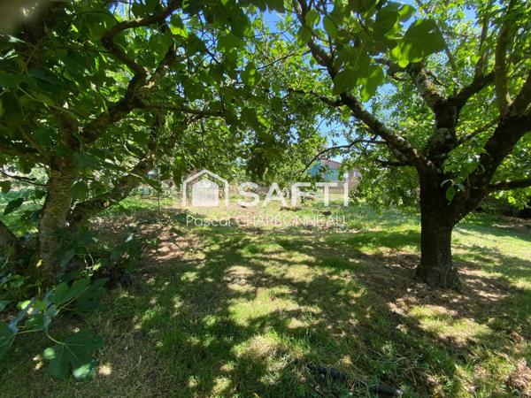 Maison en pierre 3 chambres grandes dependances garage camping car