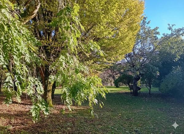 MAISON FAMILIALE 138 m² - 3 CHAMBRES, PARC 3000 m² - OPPORTUNITÉ RÉNOVATION - BRIE (16590) - Proche Angoulême