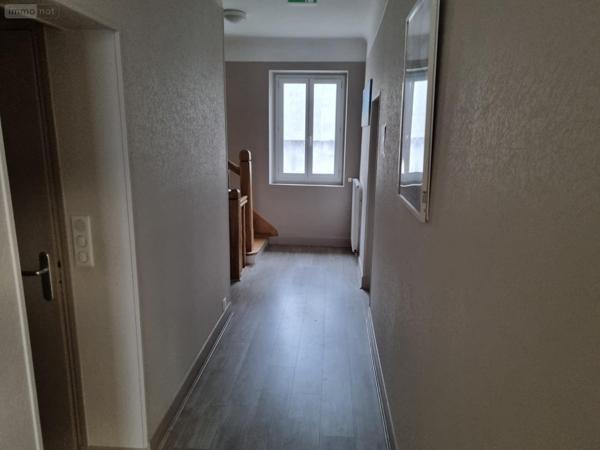 Local mixte (Pro/Hab) à vendre à Cosne-Cours-sur-Loire dans la Nièvre (58200), ref : ST 261