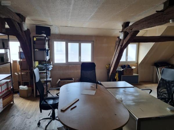 Local mixte (Pro/Hab) à vendre à Cosne-Cours-sur-Loire dans la Nièvre (58200), ref : ST 261