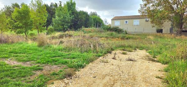 Terrain Saint Papoul 544 m2