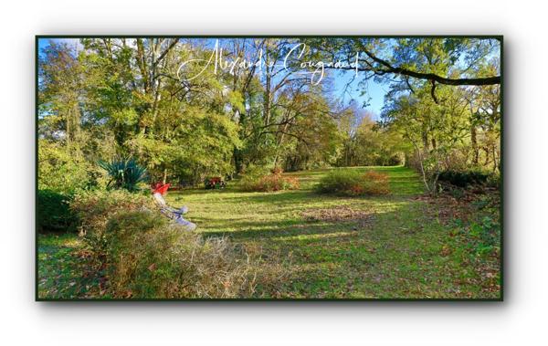 Maison à vendre 6 pièces VERDALLE (81)