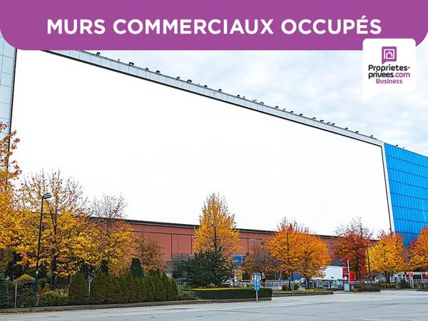 MURS LOUES, LOCAL D'ACTIVITE, 9 Bureaux + 2 Entrepôts,  50 000  HT de rentabilité annuelle