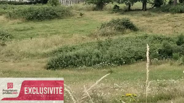 Terrain constructible dans un quartier calme et verdoyant