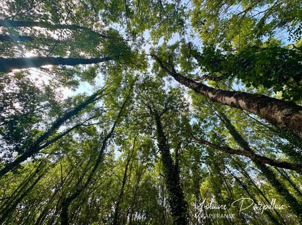 Terrain à vendre à MONTAIGU VENDEE (85)