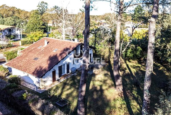 Belle villa landaise au Bourg