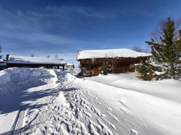 Saint-Pierre-dels-Forcats (66210) CHALET 5 CHAMBRES