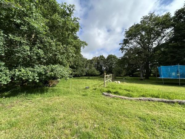 Achat - Maison Janzé 35150 8 pièces 305 m 2 4060 m 2