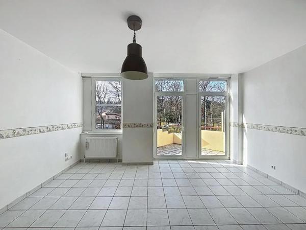 Appartement à louer à Saint-Avold (57500)