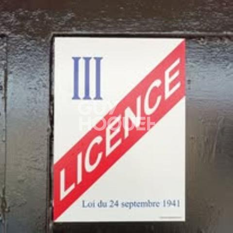 RARE ! BAR À THÈME / RESTAURATION ? ÉTABLISSEMENT CLÉ EN MAIN