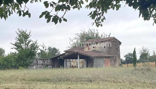 Vente Maison 4 pièces 81 m2 à Verfeil