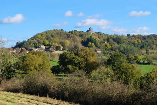 Terrain à vendre à Beaulieu-sur-Dordogne (19120) - Corrèze
