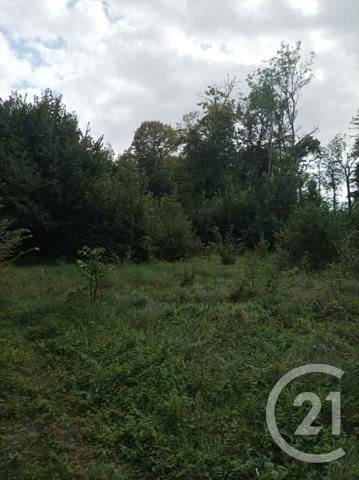 Terrain à vendre  4900 m2 BOULT SUR SUIPPE - 51