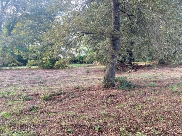 Terrain à vendre    Mazerolles