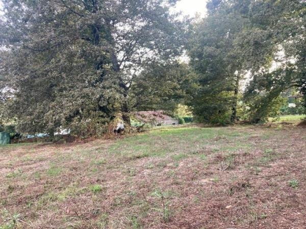 Terrain à vendre    Mazerolles