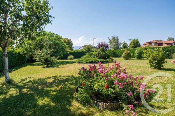 Maison à vendre  6 pièces - 180,64 m 2   BALLAISON  - 74
