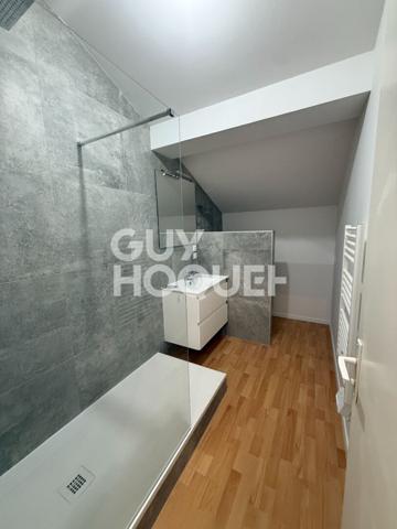 Maison Meublée 87m² avec terrain d'environ 2000m² / Saint Romain en Gal