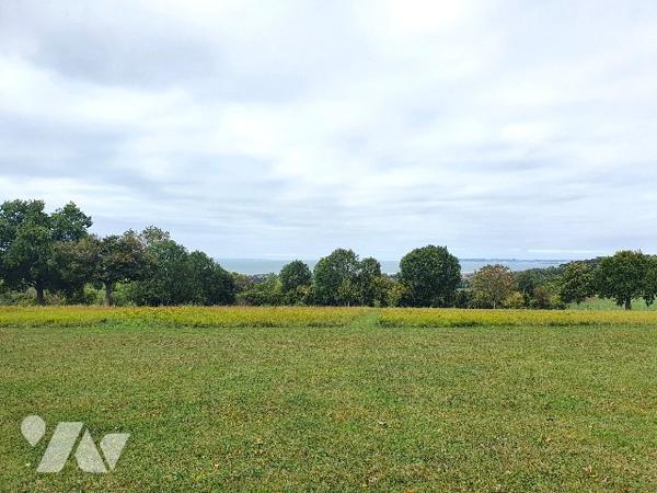 DEAUVILLE-TOURGEVILLE