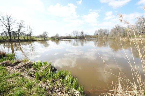 terrain 15000M², avec étang.