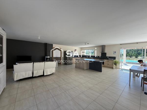 Grande villa avec piscine et grand terrain