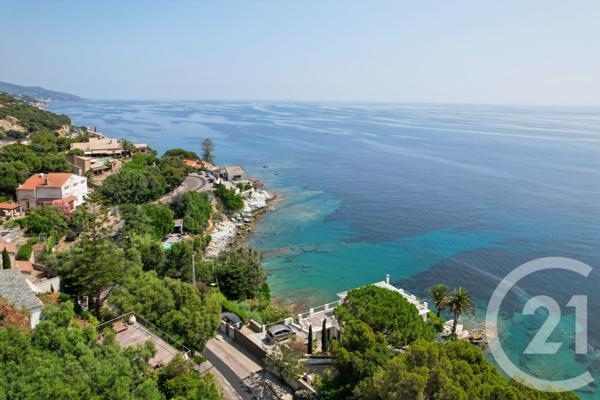 Maison à vendre  8 pièces - 248,30 m2 SAN MARTINO DI LOTA - 202