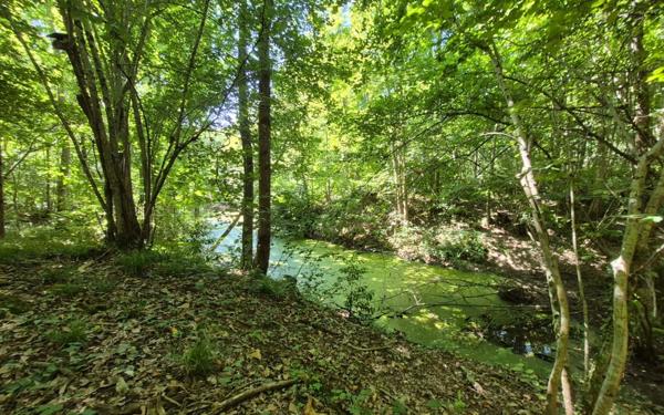 Terrain à vendre    La Ferté-sous-Jouarre
