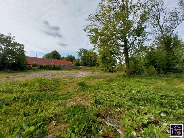 Terrain Ardres 3610 m2, Ardres 62610