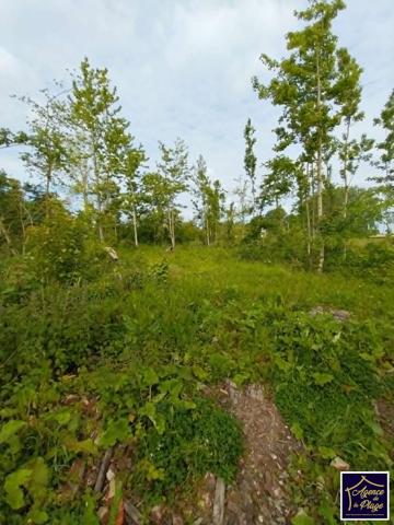 Terrain Ardres 3610 m2, Ardres 62610