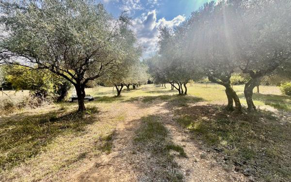 Maison à vendre    6 pièces •  Uzès