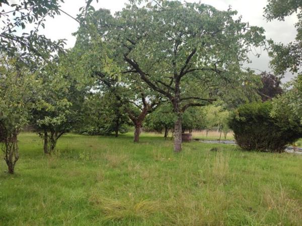 Maison de bourg proche Evron avec de très beaux volumes