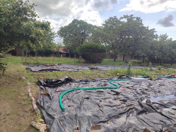 Maison de bourg proche Evron avec de très beaux volumes