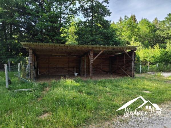 Bâtiment de 300 m² avec 1,44 hectare de terrain – de nombreuses possibilités d’exploitation