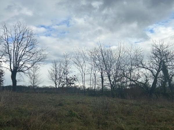 Superbe terrain face aux vignes