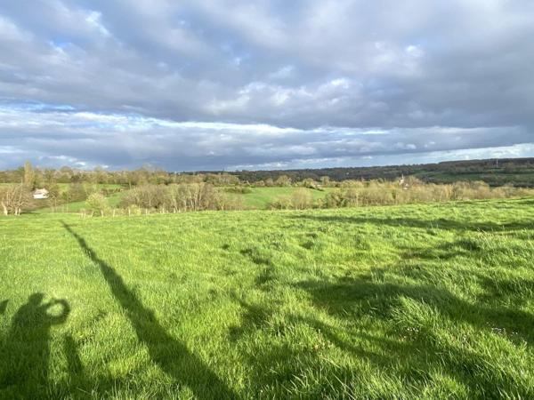 Vente / Terrain constructible