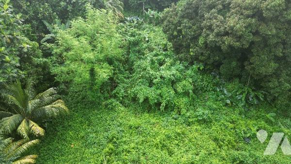 Terrain de 2790m² au LAMENTIN