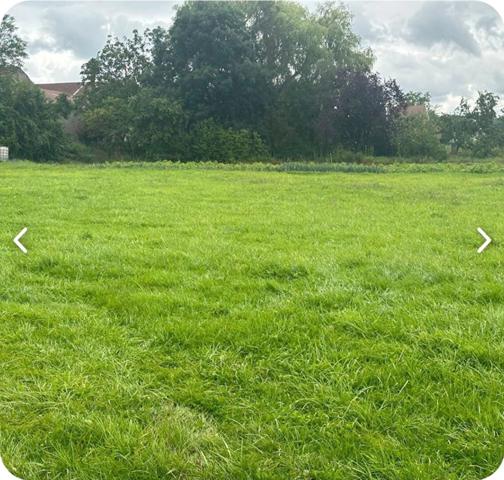 Propriete à vendre 7 pièces proche CHARMES (88) FERME & HANGAR sur 7500 m2 TERRAIN