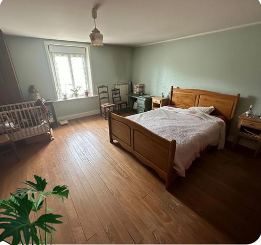 Propriete à vendre 7 pièces proche CHARMES (88) FERME & HANGAR sur 7500 m2 TERRAIN