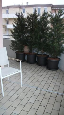 Appartement à louer à Talant (21240)
