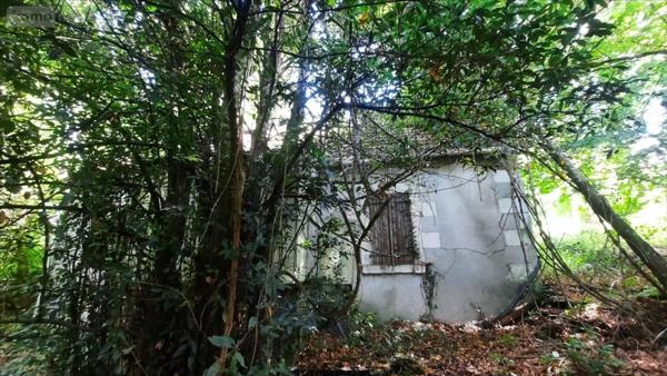 Maison à restaurer à vendre à Vicq-sur-Nahon dans l'Indre (36600), ref : 021/1557